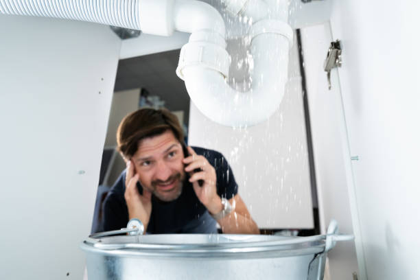 Best Water Leak Repair  in Carlyle, IL
