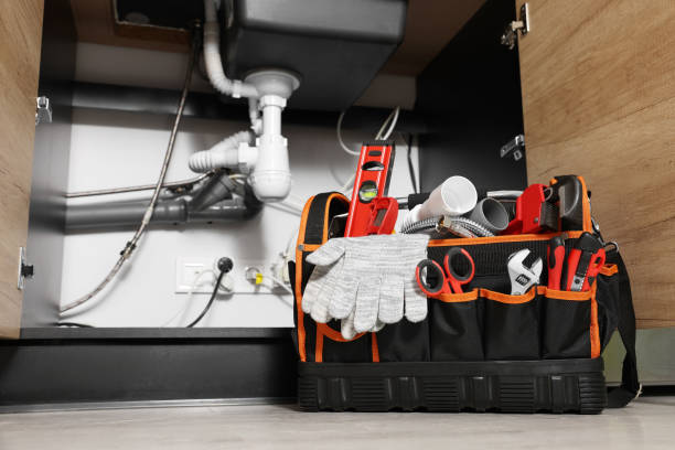 Best 24-Hour Plumber Near Me  in Carlyle, IL